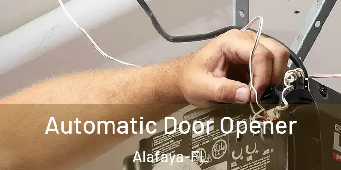  Automatic Door Opener Alafaya-FL