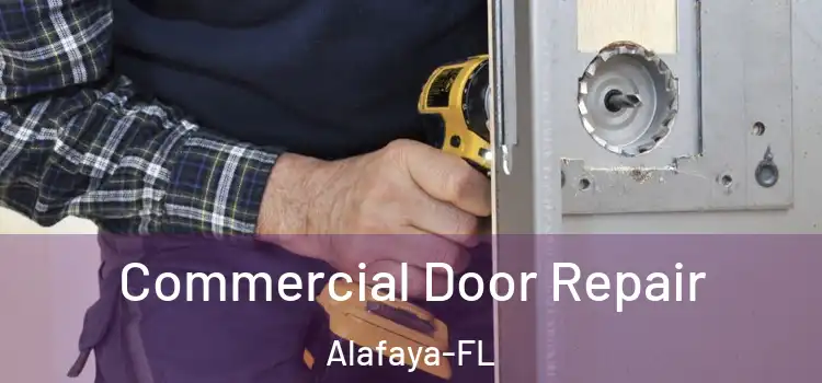  Commercial Door Repair Alafaya-FL