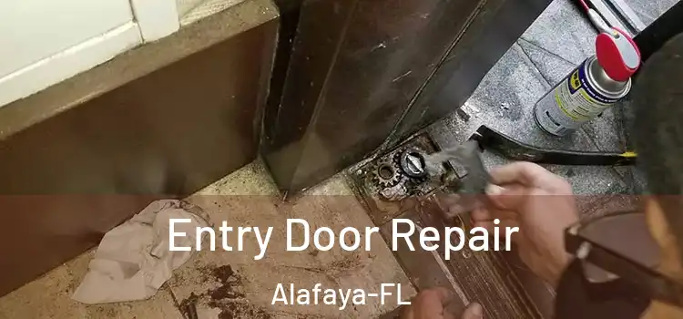  Entry Door Repair Alafaya-FL