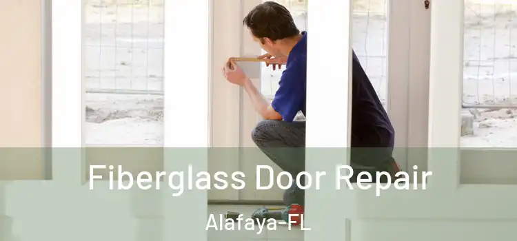  Fiberglass Door Repair Alafaya-FL