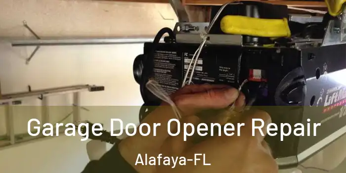  Garage Door Opener Repair Alafaya-FL