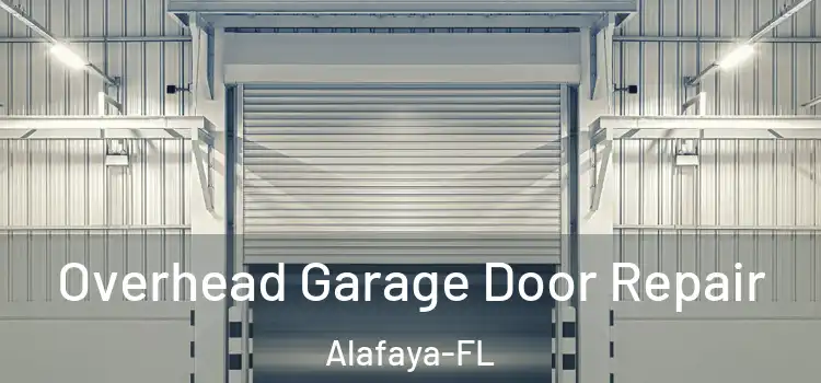  Overhead Garage Door Repair Alafaya-FL