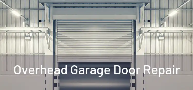  Overhead Garage Door Repair 