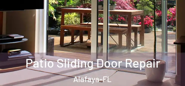  Patio Sliding Door Repair Alafaya-FL