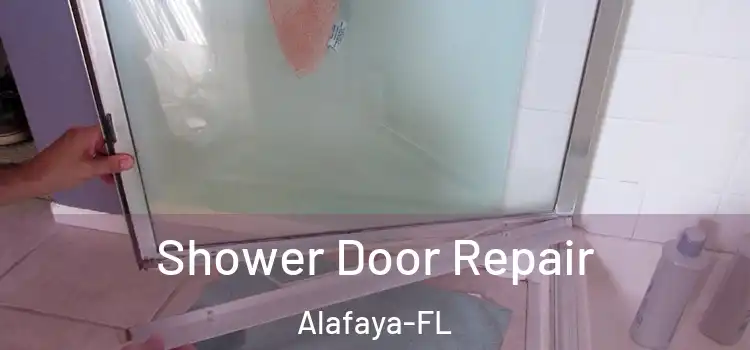  Shower Door Repair Alafaya-FL
