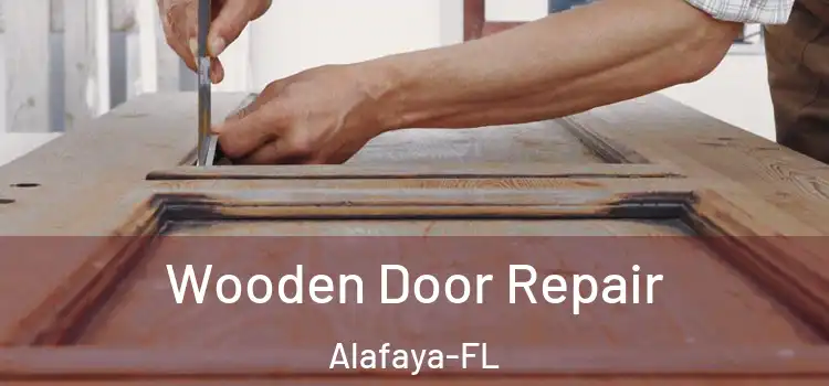  Wooden Door Repair Alafaya-FL